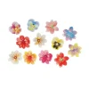 Best Cerf Dellier 13 Fleurs 3D comestibles en azyme assorties