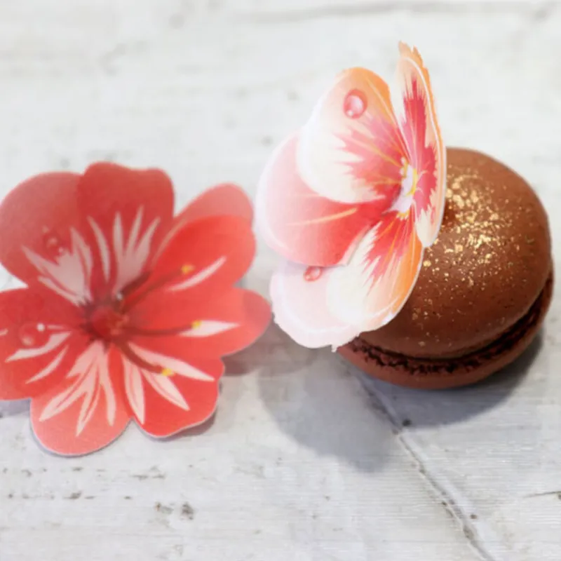 Best Cerf Dellier 13 Fleurs 3D comestibles en azyme assorties