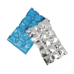 Cerf Dellier Accumulateurs de froid (x 2)