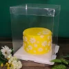Best Cerf Dellier Boîte gâteau transparente - 25 x 25 x 30 cm