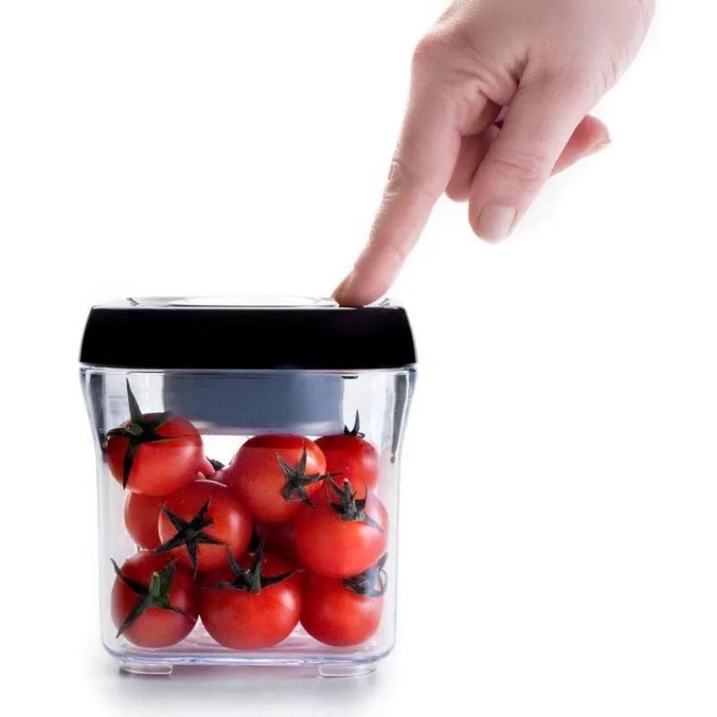 Online Cerf Dellier Boîte sous vide carrée empilable 1,95 l