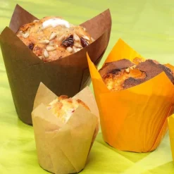 Cerf Dellier Caissette haute Tulipcup brune (x300)