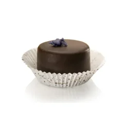 Clearance Cerf Dellier Caissettes cuisson Sienne 55 x 32 mm (x1000)