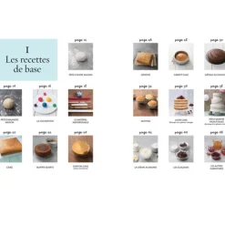 Sale Cerf Dellier Cake design premiers pas - Sally François