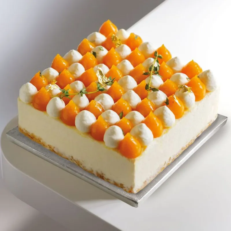 Best Cerf Dellier Cake Drums Carrés Argent 25 x 25 cm (x5)