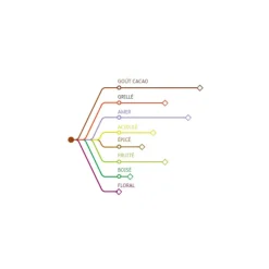 Outlet Cerf Dellier Chocolat de Couverture Noir Origine Venezuela 72 % 2,5 Kg