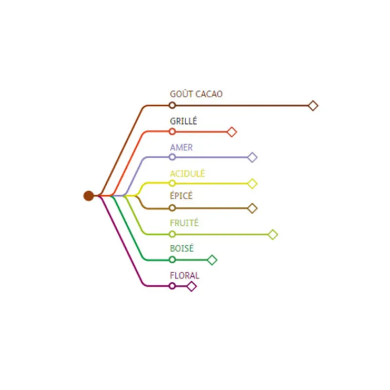 Best Cerf Dellier Chocolat de Couverture Noir origine Mexique 66 % 1 Kg