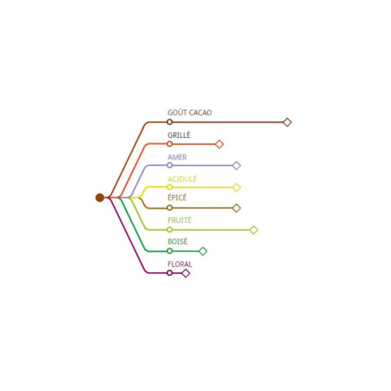 New Cerf Dellier Chocolat de Couverture Noir origine Mexique 66 % 2,5 Kg