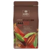 Best Cerf Dellier Chocolat pistoles Force Noire 50 % 1 kg