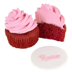 Clearance Cerf Dellier Colorant alimentaire naturel rose magenta PME