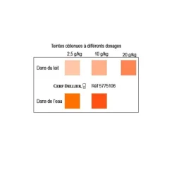 Outlet Cerf Dellier Colorant poudre alimentaire Mandarine 100 g