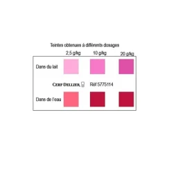 Best Cerf Dellier Colorant poudre alimentaire Rouge Cerise 100 g