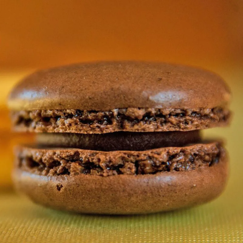 Outlet Cerf Dellier Colorant poudre alimentaire Chocolat 100 g