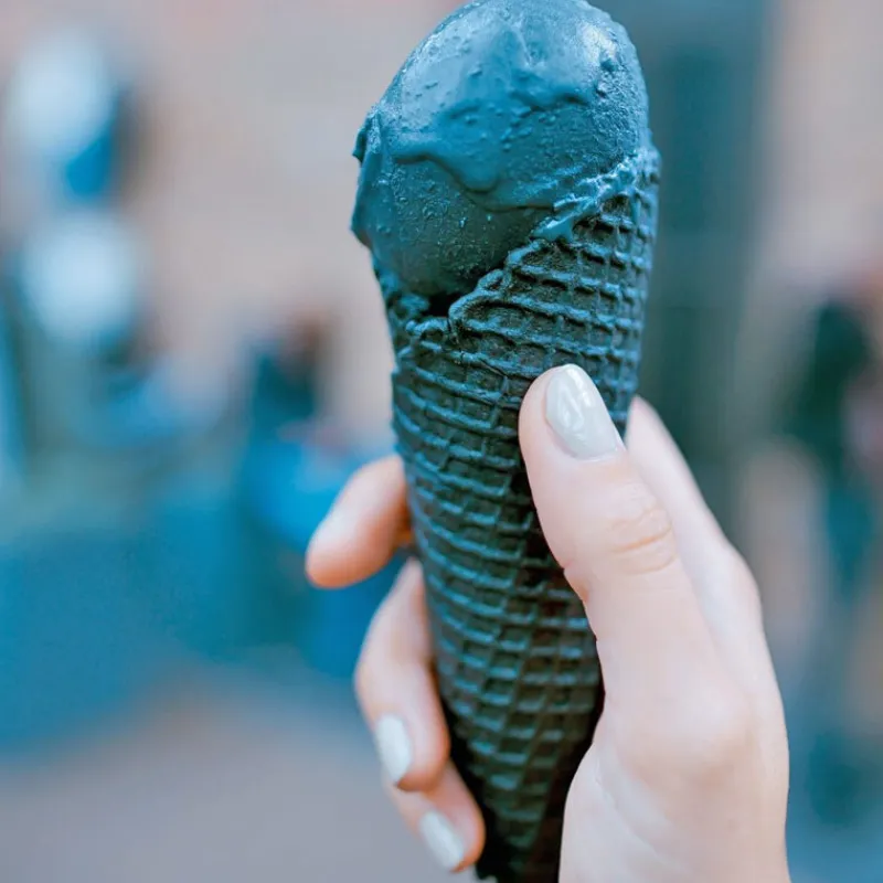 New Cerf Dellier Colorant poudre alimentaire Noir Végétal 100 g