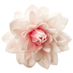 Outlet Cerf Dellier Dahlia rose géant azyme