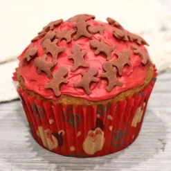 Hot Cerf Dellier Décors comestibles bonhommes pain d'épices 40 g