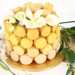 Discount Cerf Dellier Dummy rond contours droits H10 cm - Ø 50 cm