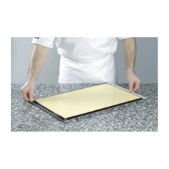 Hot Cerf Dellier Flexipan entremets 55,5x36x2 cm