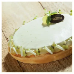 Outlet Cerf Dellier Flexipan 60x40 plaque de 6 empreintes rondes 15 cm