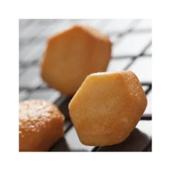 Cerf Dellier Flexipan 60x40 plaque de 60 hexagones 4,5x4 cm