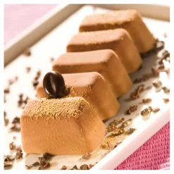 New Cerf Dellier Flexipan 60x40 plaque de 24 lingots cannelés 10,6x4,6x2,5 cm