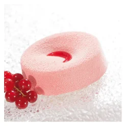 New Cerf Dellier Flexipan 60x40 plaque de 24 paysages 7,5x2,4 cm