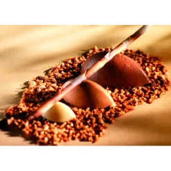 Online Cerf Dellier Flexipan 60x40 plaque de 100 petites quenelles 4,4x2,2x1,7  cm