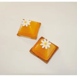 Discount Cerf Dellier Flexipan 60x40 plaque de 35 pyramides 5x5x3,5 cm