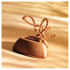 Discount Cerf Dellier Flexipan 60x40 plaque de 24 saphirs savarins 7x7x3,2 cm