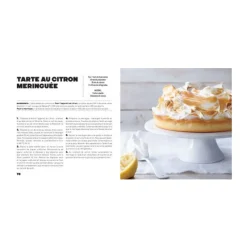 Cerf Dellier Gâteaux, Hachette Pratique