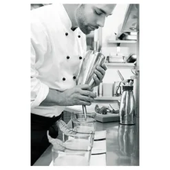 Hot Cerf Dellier ISI siphon à crème Profi pour préparations froides 0,5 L