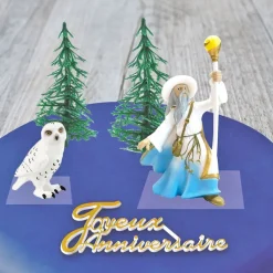 Discount Cerf Dellier Kit décor Gâteau Sorcier