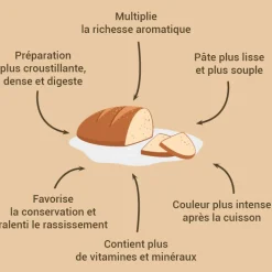 Sale Cerf Dellier Levain de seigle 150 g