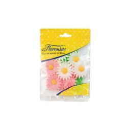 Outlet Cerf Dellier Marguerites assorties (x12)