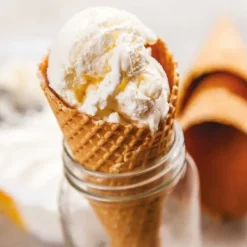 New Cerf Dellier Mix glace maison 250 g