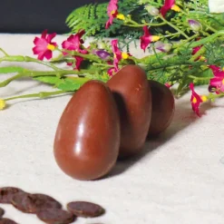 Cerf Dellier Moule chocolat en 3 parties Œufs lisses