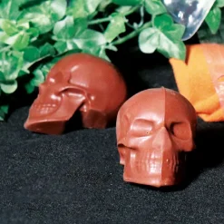 New Cerf Dellier Moule chocolat en 3 parties petits crânes