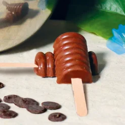 New Cerf Dellier Moule chocolat en 3 parties glaces à spirales