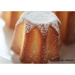 Clearance Cerf Dellier Moule silicone 6 Pandor