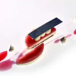 Outlet Cerf Dellier Moule silicone Oval Pavoni