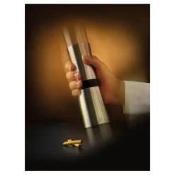 Outlet Cerf Dellier Peugeot moulin et shaker à cannelle Lanka