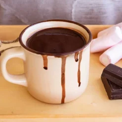 Cerf Dellier Préparation instantanée pour boisson au cacao - 300 g