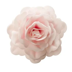 Best Cerf Dellier Rose rose géante azyme