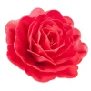 New Cerf Dellier Rose rouge géante azyme