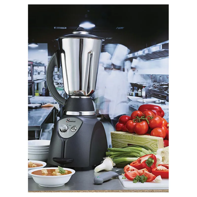 Cerf Dellier Santos blender n°37 bol inox 4 L