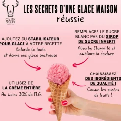 Online Cerf Dellier Stabilisateur pour glace 125 g